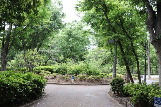 Shinjuku Central Park